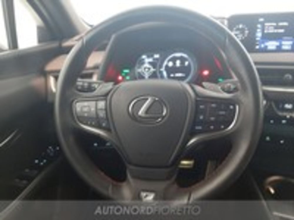 Lexus UX usata a Udine (15)