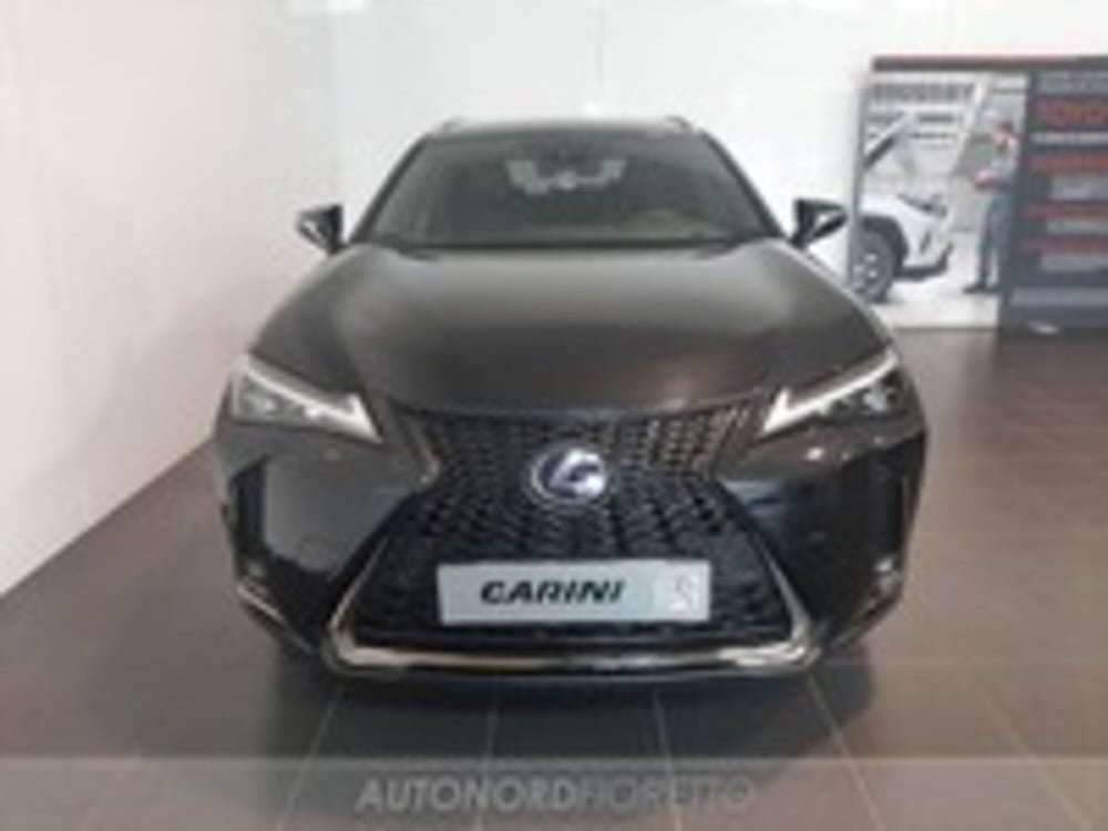 Lexus UX usata a Udine (2)
