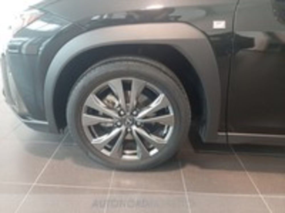 Lexus UX usata a Udine (4)