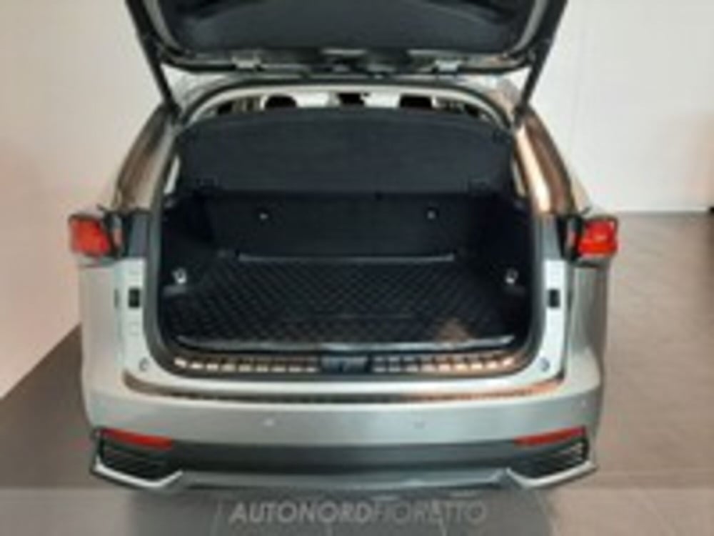 Lexus NX usata a Udine (10)