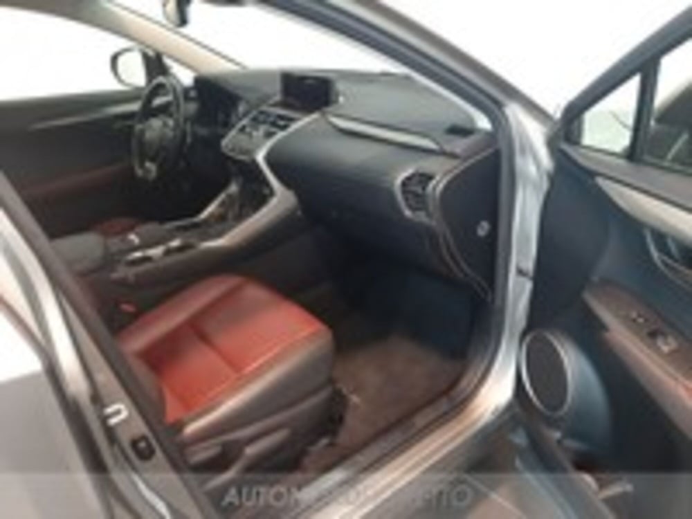 Lexus NX usata a Udine (11)
