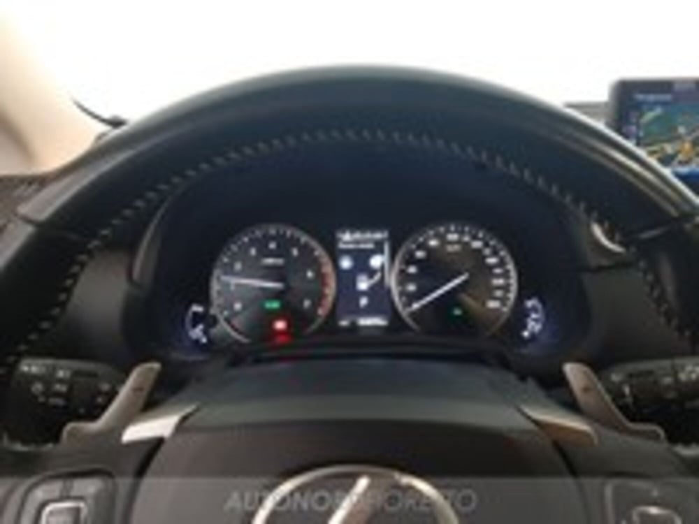 Lexus NX usata a Udine (14)