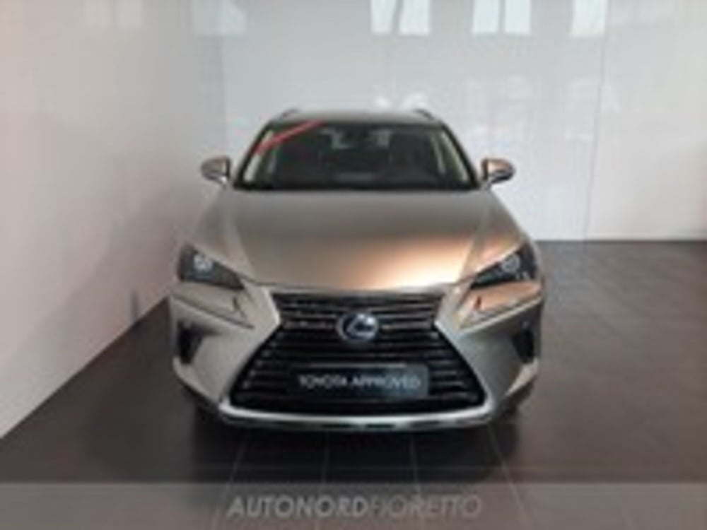 Lexus NX usata a Udine (2)