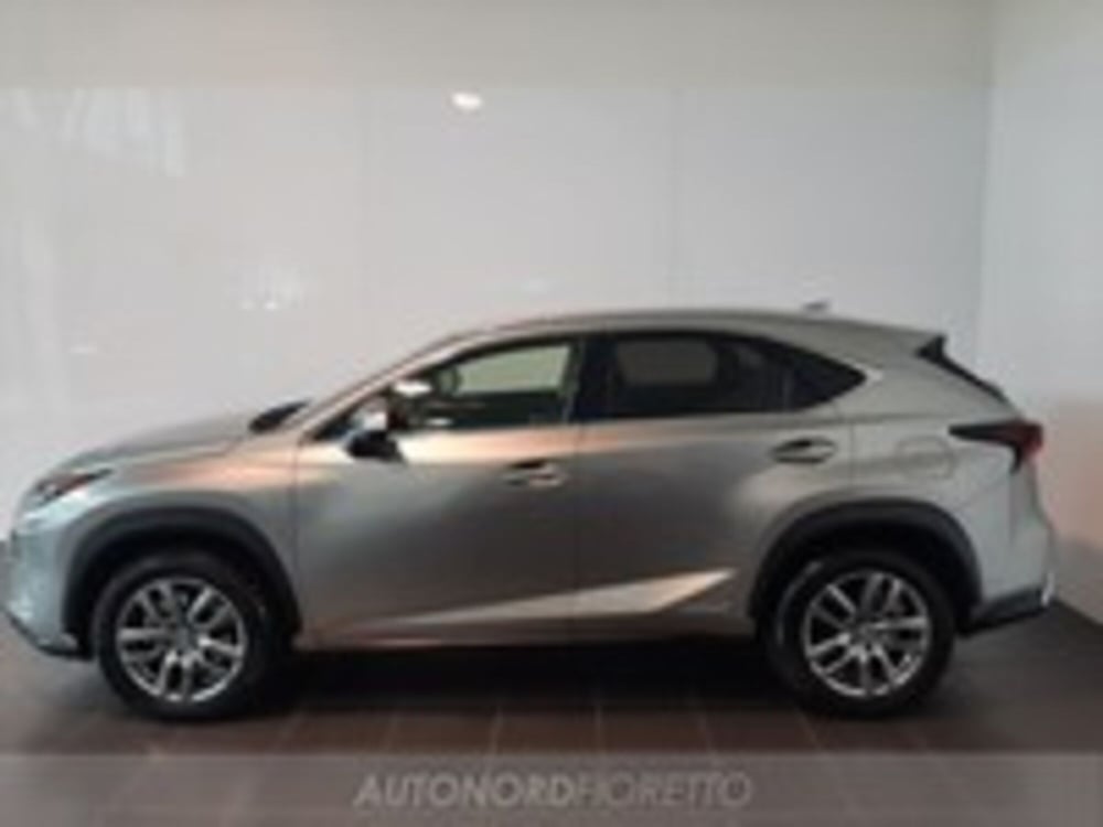 Lexus NX usata a Udine (3)