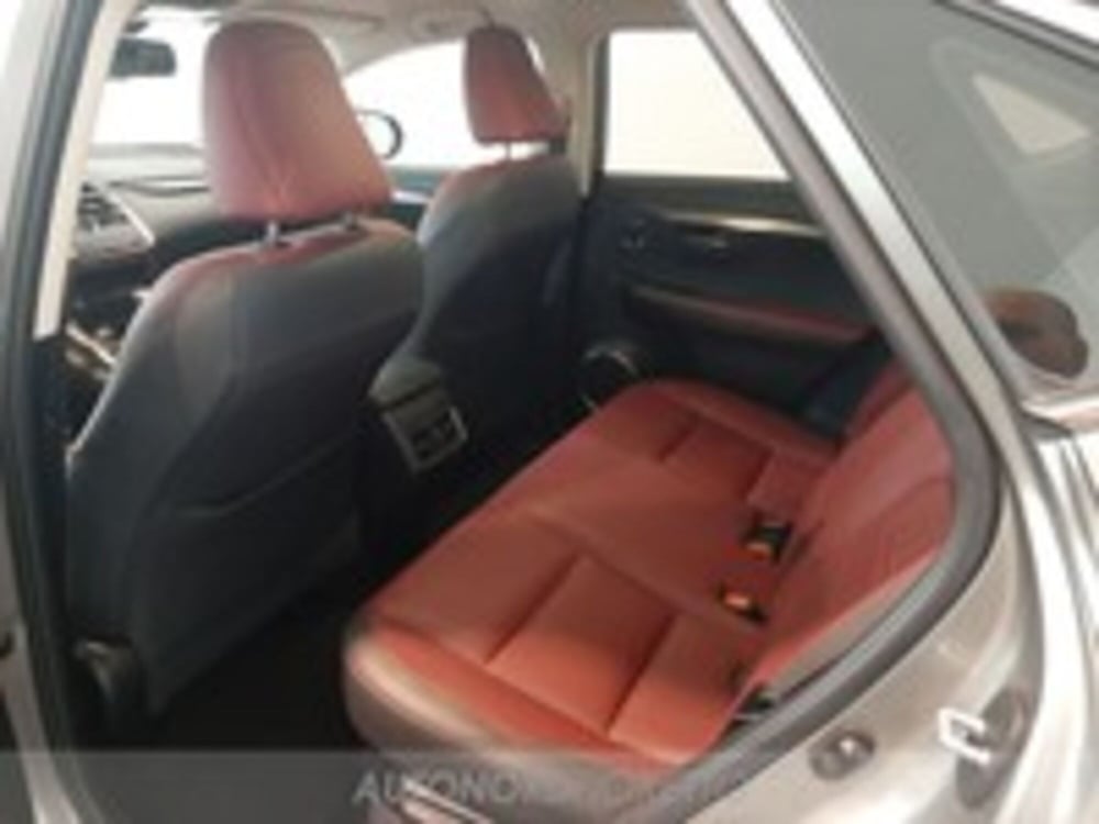 Lexus NX usata a Udine (6)
