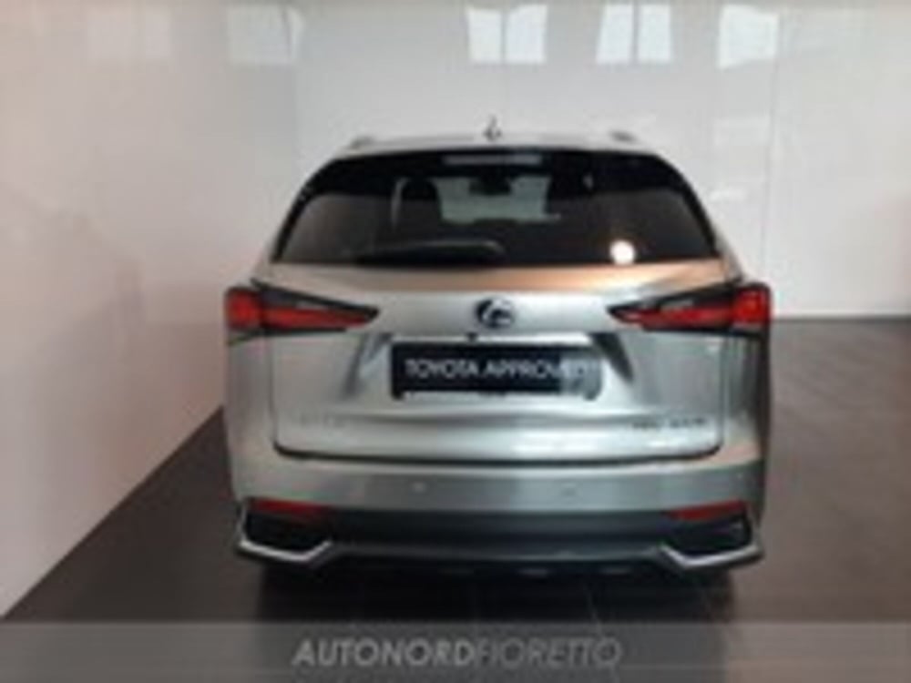 Lexus NX usata a Udine (8)