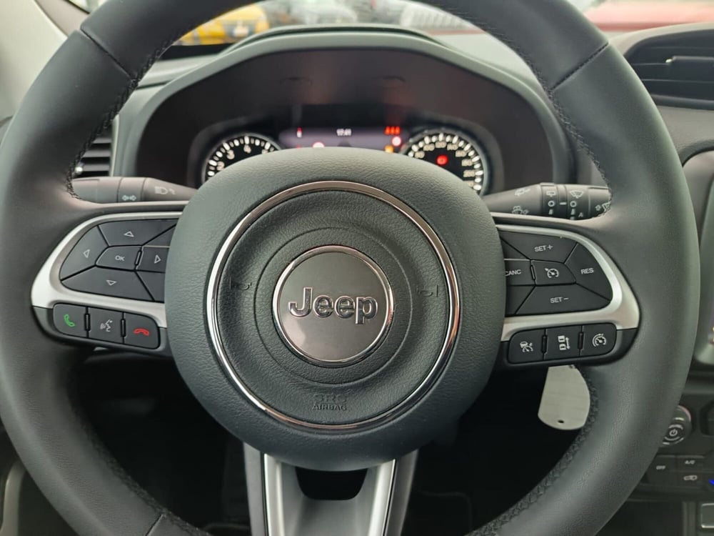 Jeep Renegade usata a Alessandria (20)