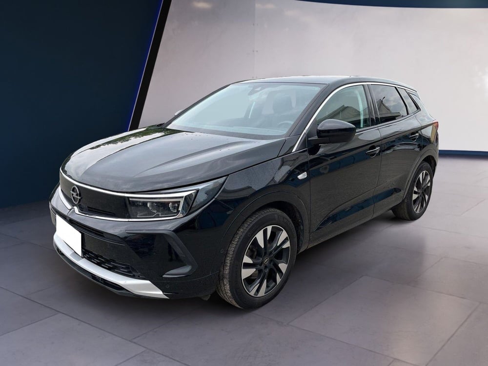 Opel Grandland usata a Torino (2)