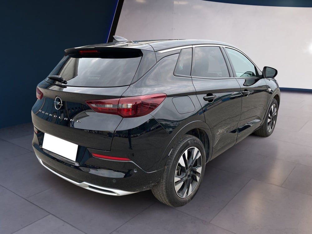 Opel Grandland usata a Torino (4)