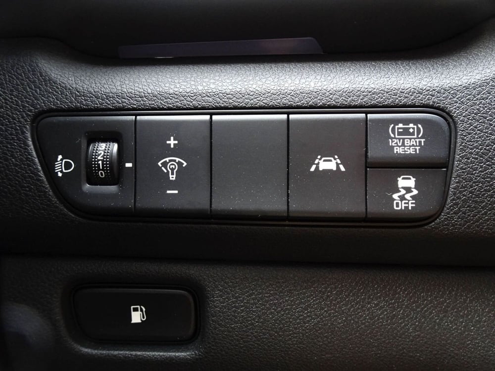 Kia Niro usata a Treviso (17)
