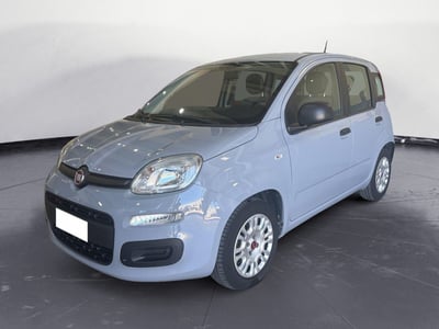 Fiat Panda Cross Cross 1.0 FireFly S&amp;S Hybrid del 2021 usata a Caltanissetta