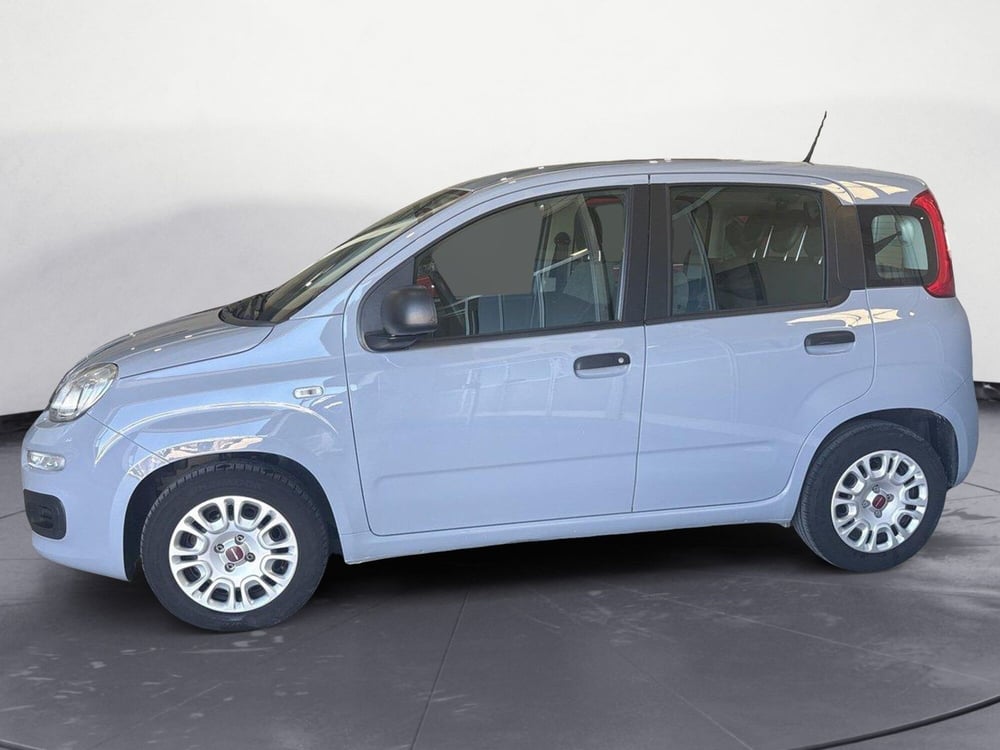 Fiat Panda Cross usata a Caltanissetta (2)