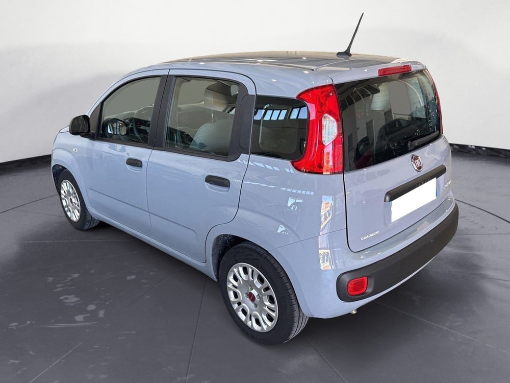 Fiat Panda Cross usata a Caltanissetta (3)