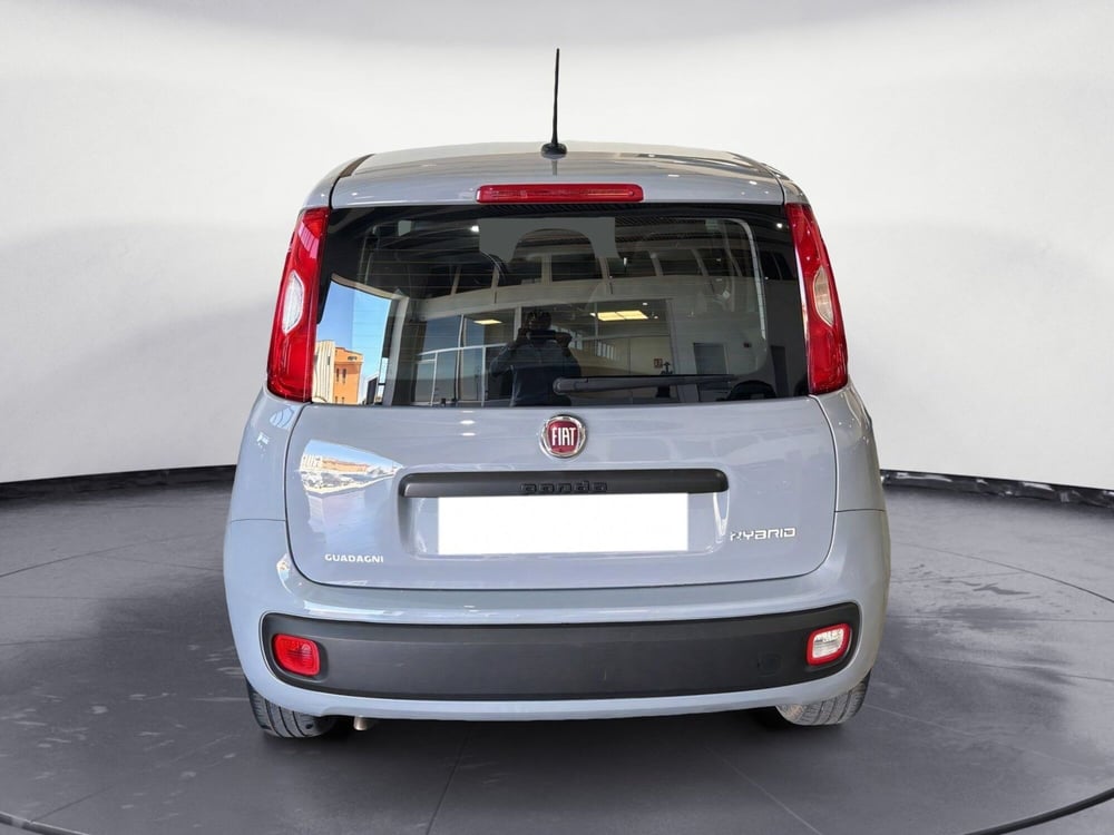 Fiat Panda Cross usata a Caltanissetta (4)
