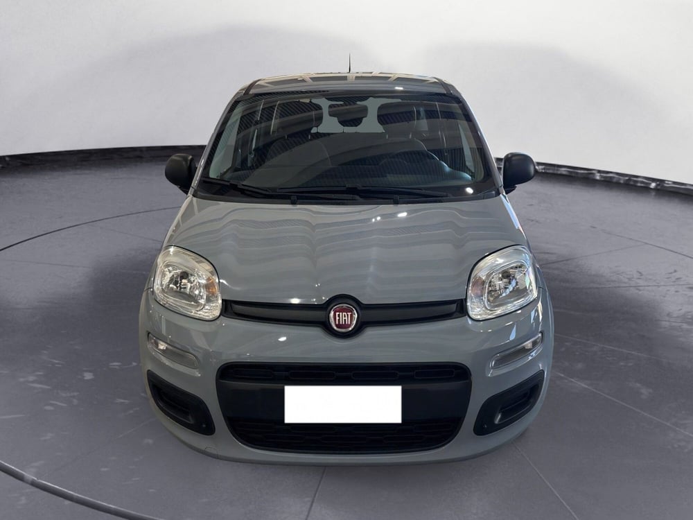 Fiat Panda Cross usata a Caltanissetta (5)