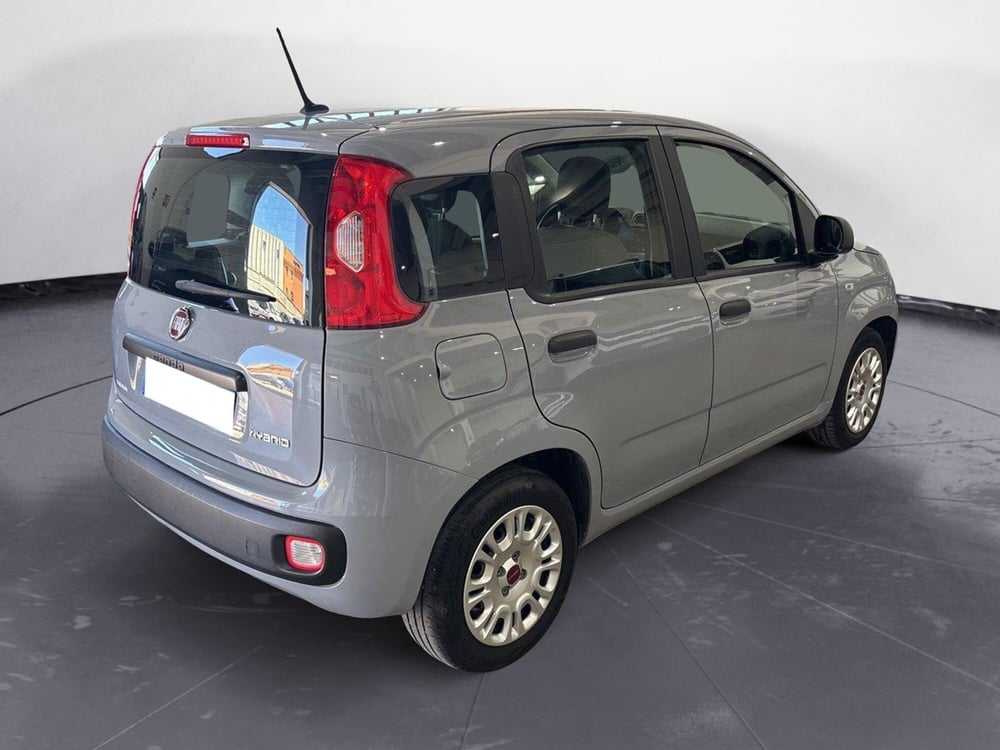Fiat Panda Cross usata a Caltanissetta (6)