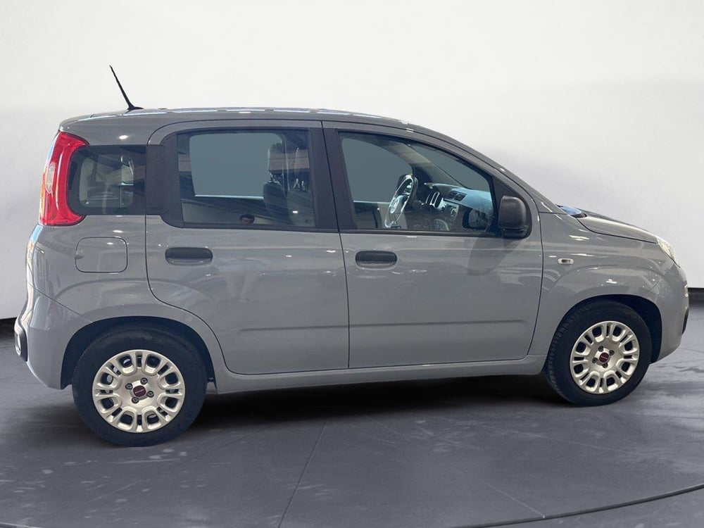Fiat Panda Cross usata a Caltanissetta (7)