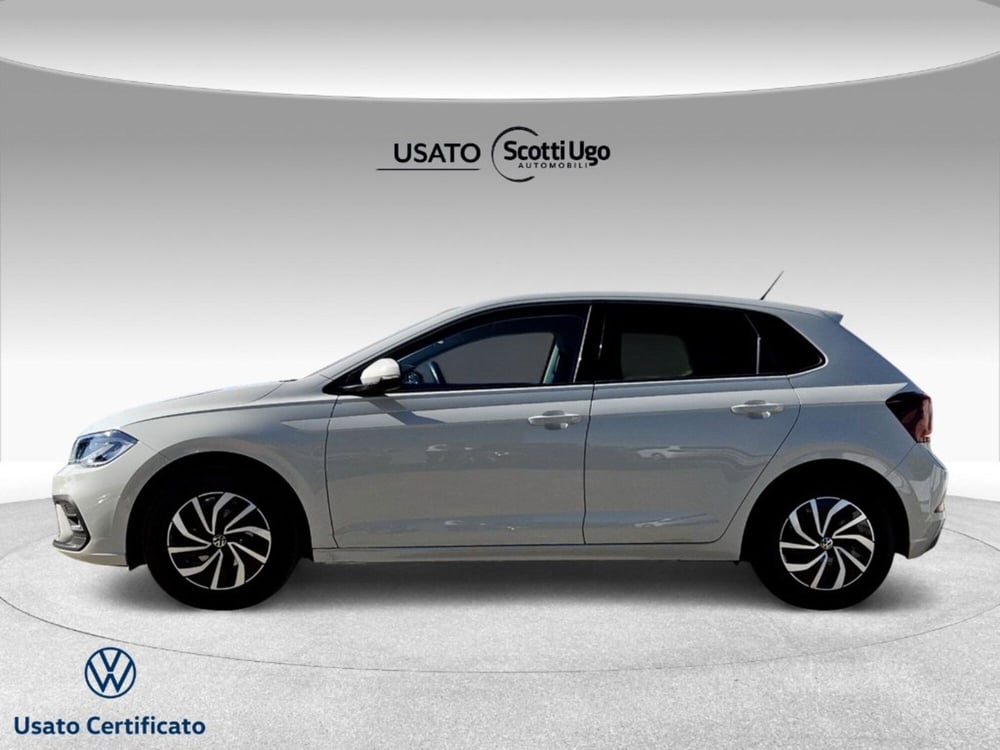Volkswagen Polo usata a Livorno (2)