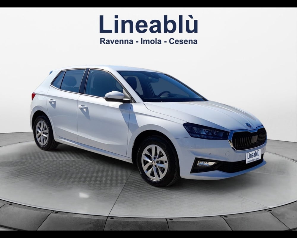 Skoda Fabia usata a Ravenna (7)