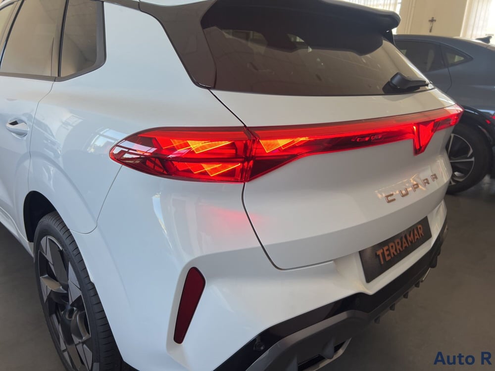Cupra Terramar nuova a Potenza (16)