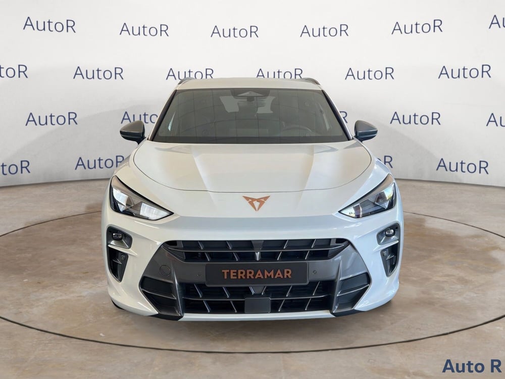 Cupra Terramar nuova a Potenza (2)