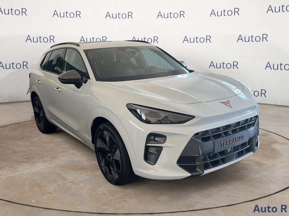 Cupra Terramar nuova a Potenza (3)