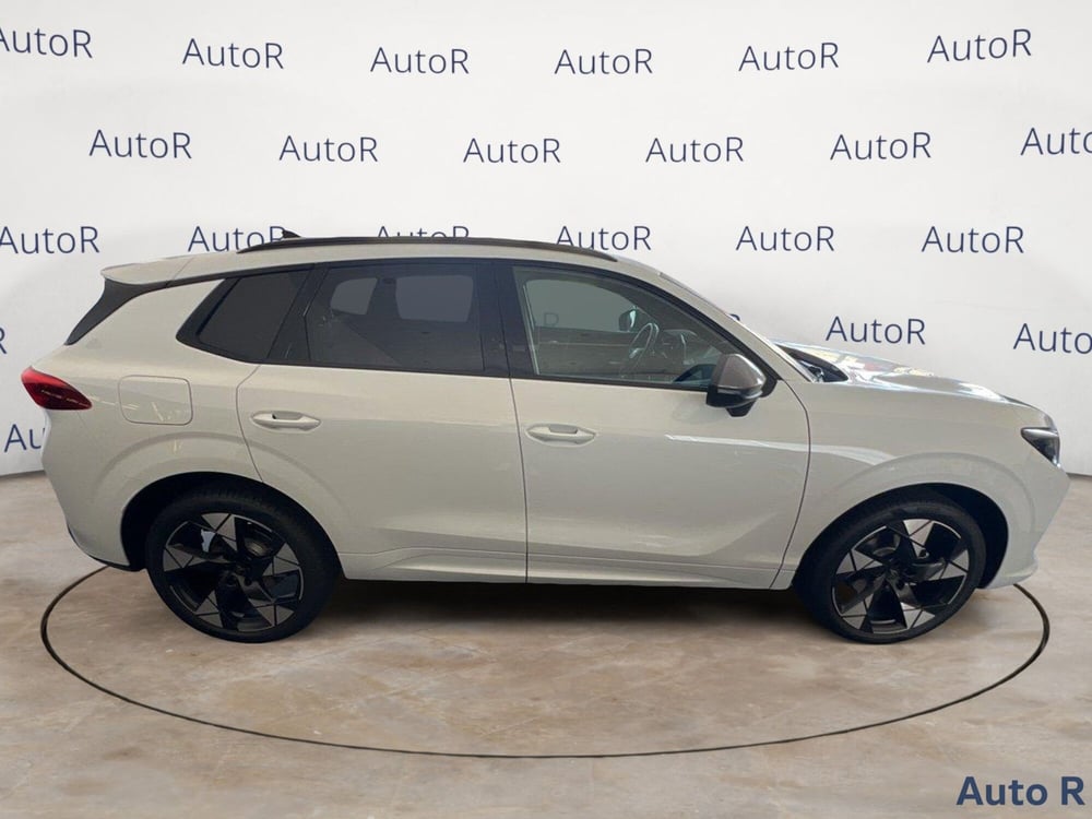 Cupra Terramar nuova a Potenza (4)