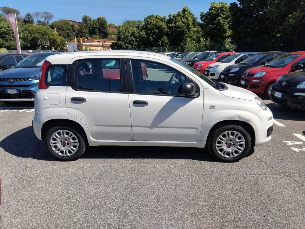 Fiat Panda usata a Roma (6)
