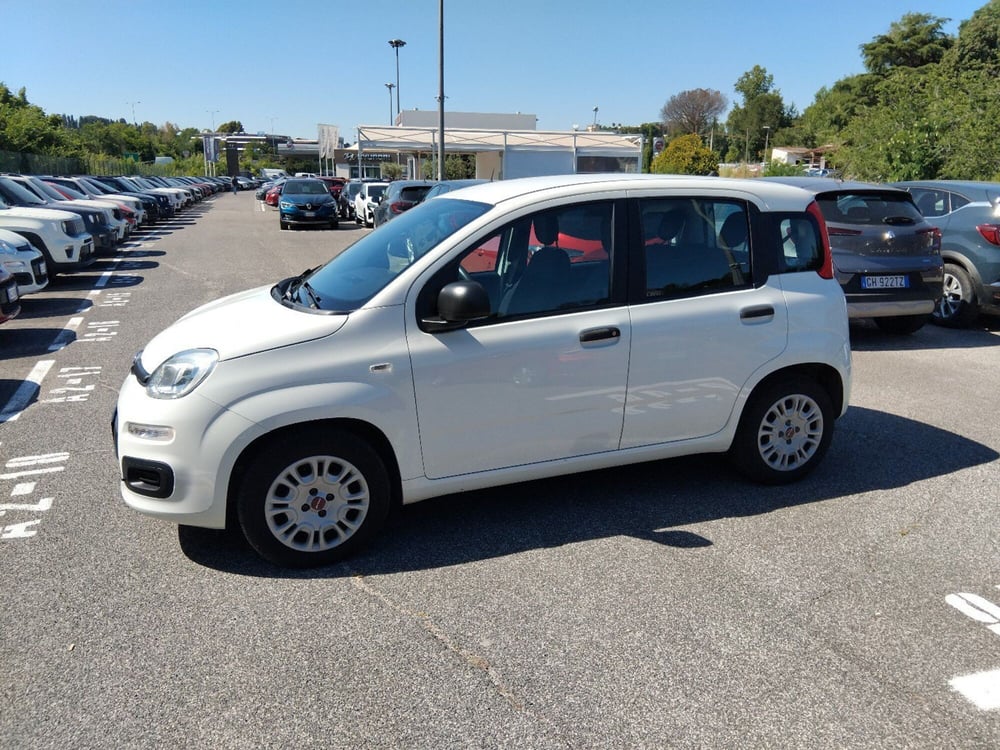 Fiat Panda usata a Roma (8)
