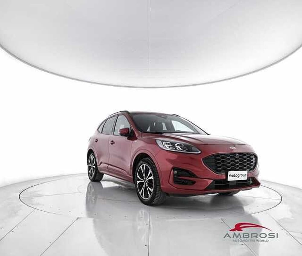 Ford Kuga usata a Viterbo (2)