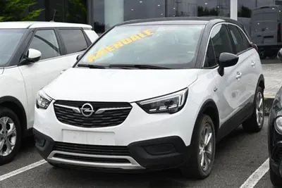 Opel Crossland X 1.2 Turbo 12V 110 CV Start&amp;Stop aut. Advance del 2019 usata a Pianezza