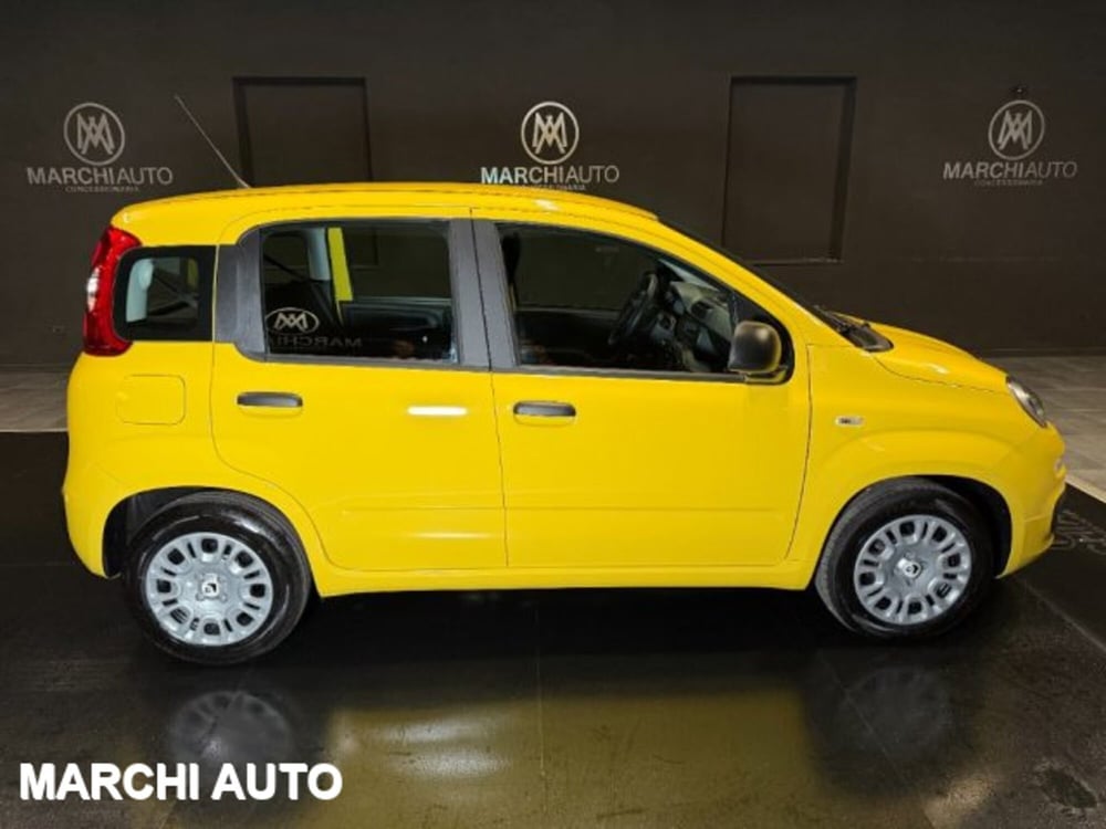 Fiat Panda nuova a Perugia (4)