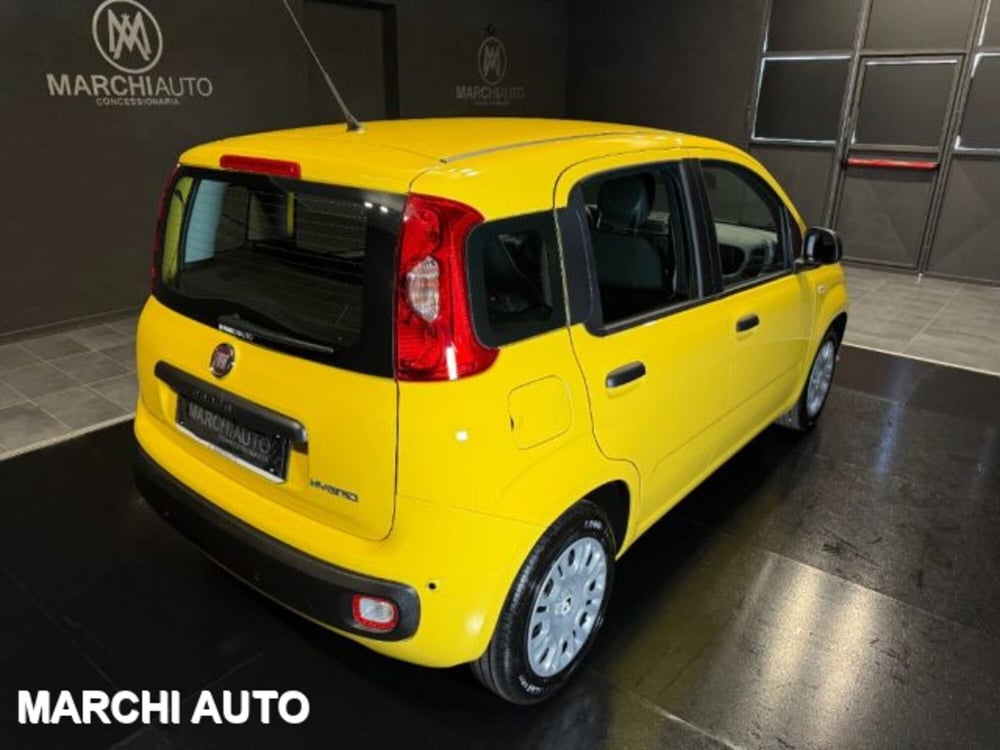 Fiat Panda nuova a Perugia (5)