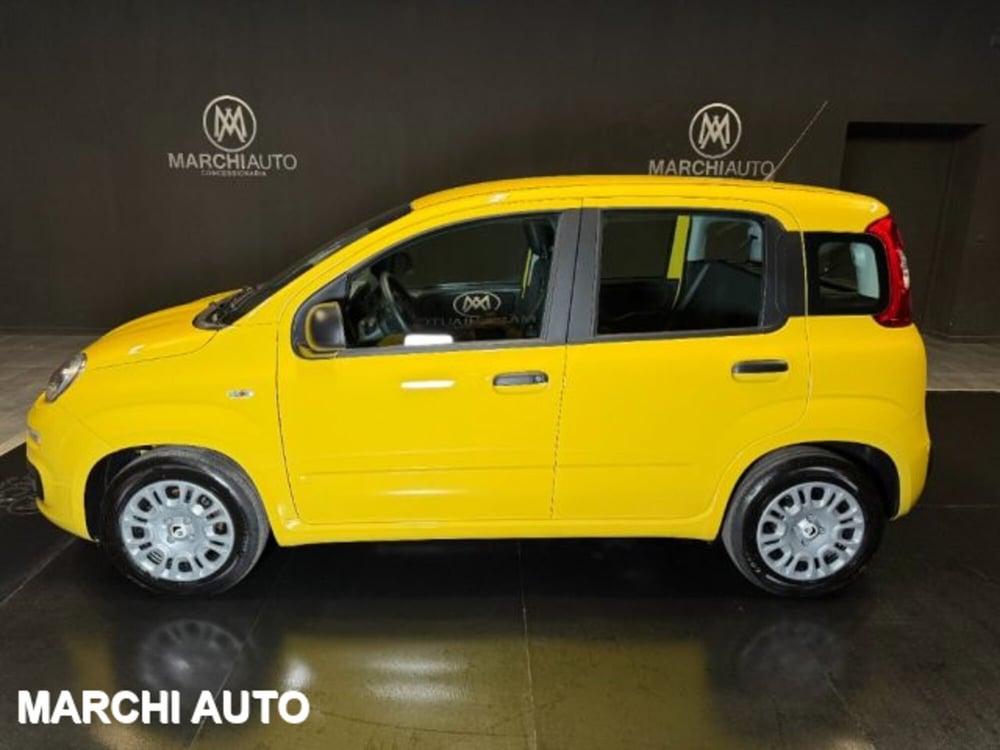 Fiat Panda nuova a Perugia (8)