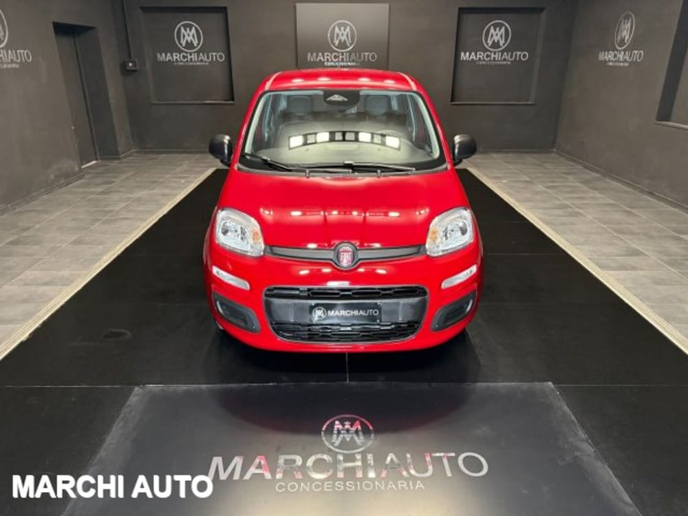 Fiat Panda nuova a Perugia (2)