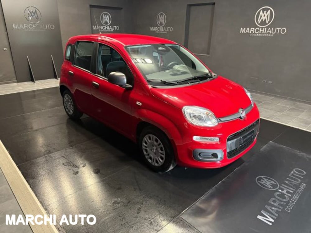 Fiat Panda nuova a Perugia (3)
