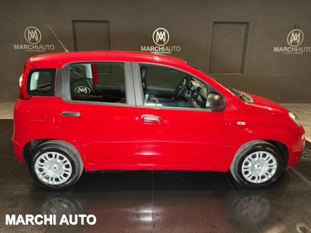 Fiat Panda nuova a Perugia (4)