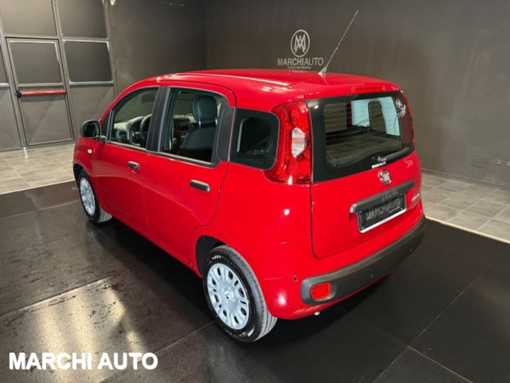 Fiat Panda nuova a Perugia (7)