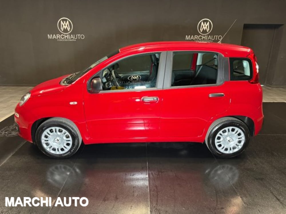 Fiat Panda nuova a Perugia (8)