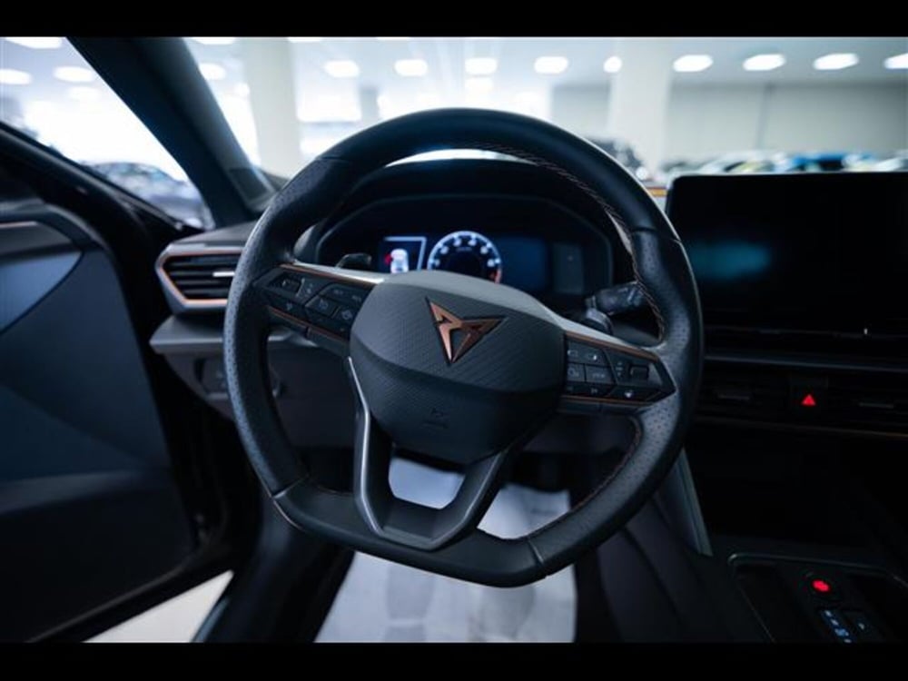 Cupra Formentor usata a Torino (11)