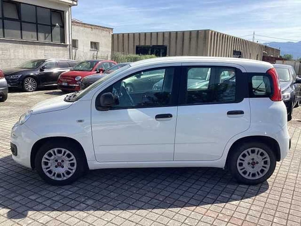 Fiat Panda usata a Roma (3)