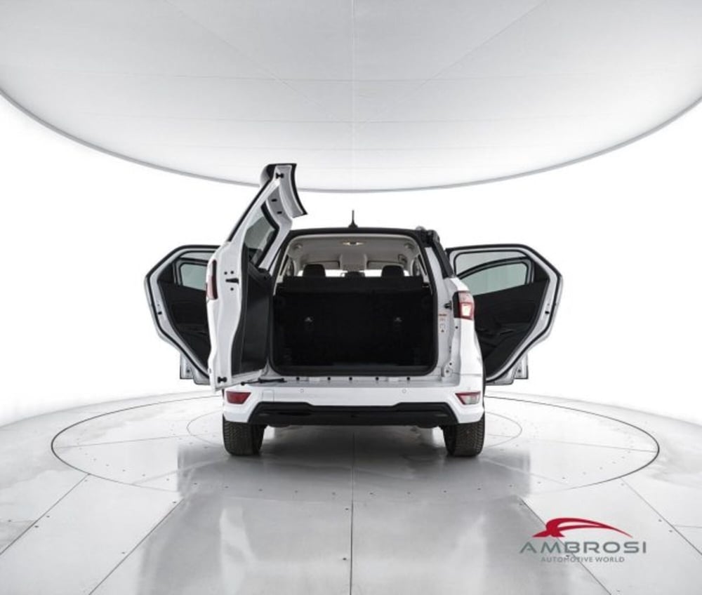 Ford EcoSport usata a Perugia (7)