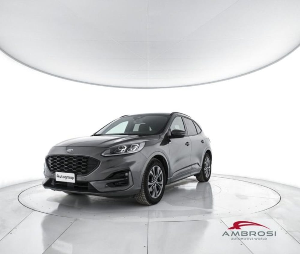 Ford Kuga usata a Perugia
