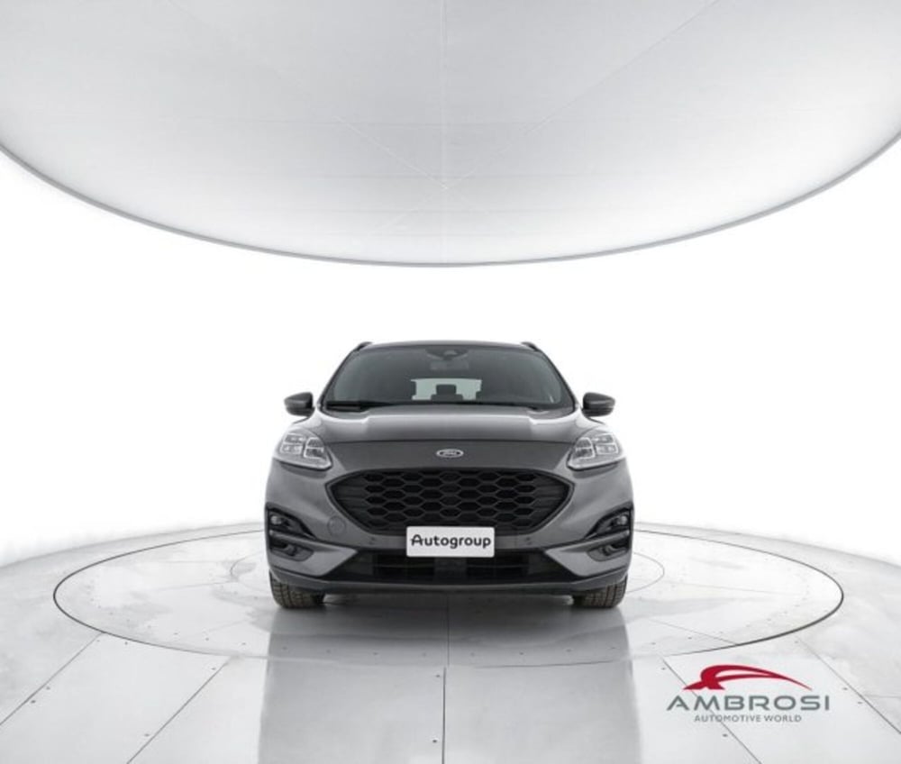 Ford Kuga usata a Perugia (5)