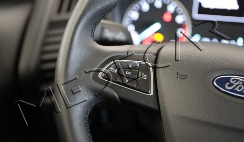 Ford EcoSport usata a Potenza (12)