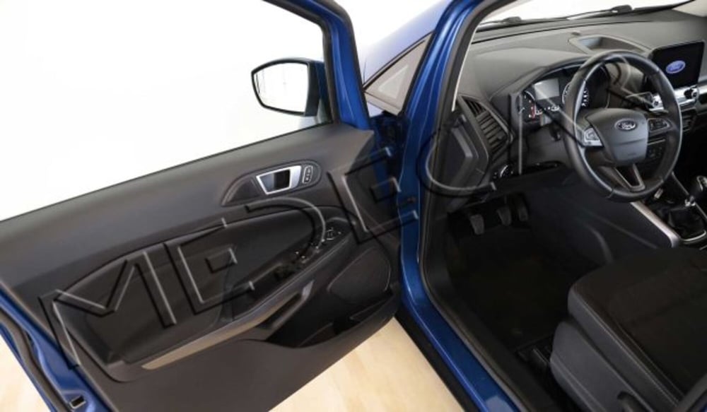 Ford EcoSport usata a Potenza (8)