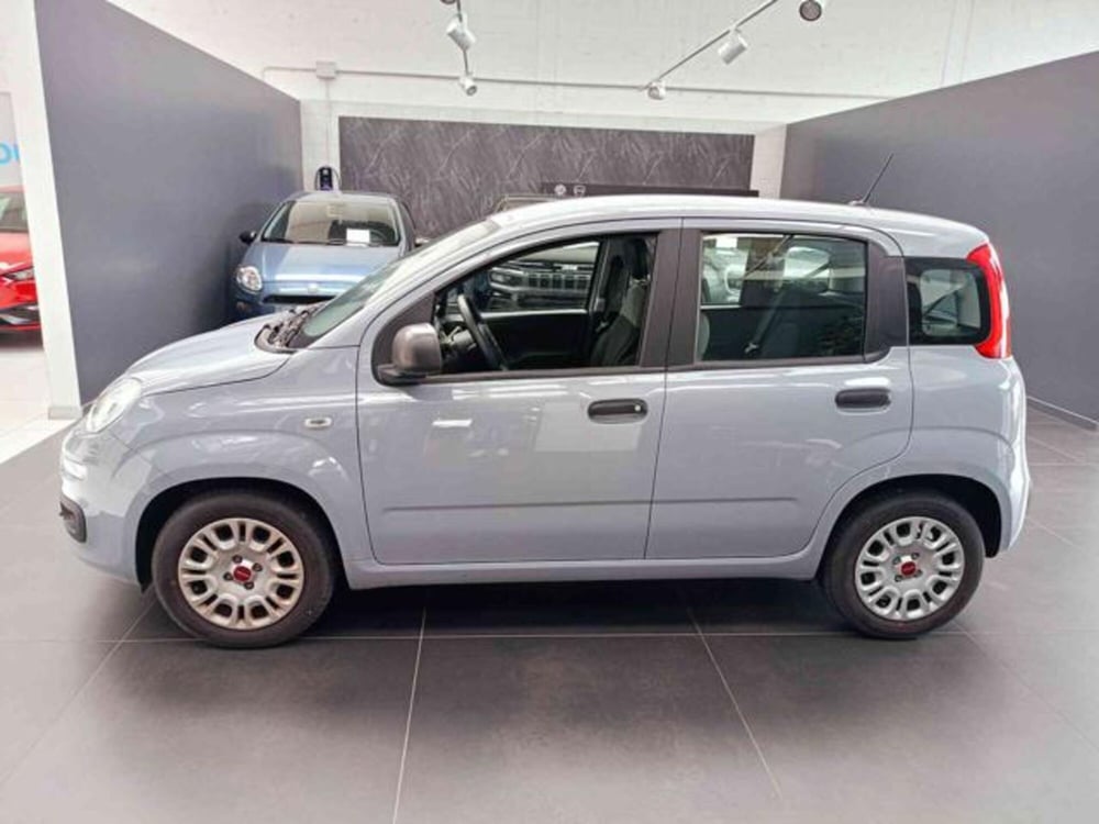 Fiat Panda usata a Vercelli (4)