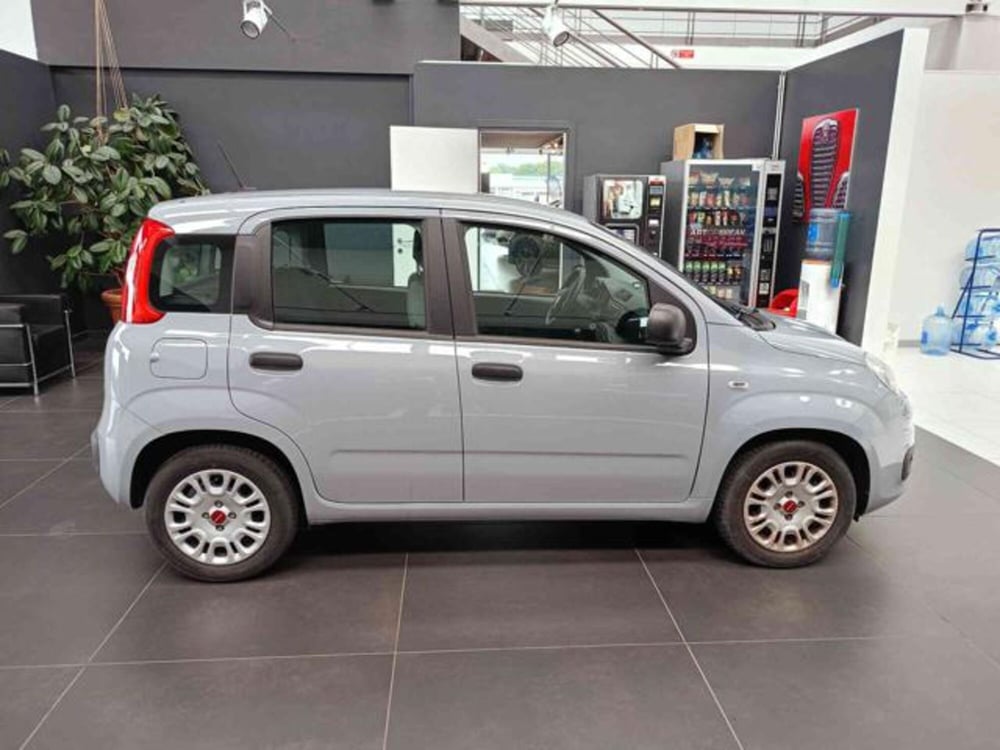 Fiat Panda usata a Vercelli (8)