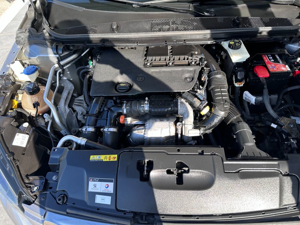 Peugeot 308 SW usata a Frosinone (13)