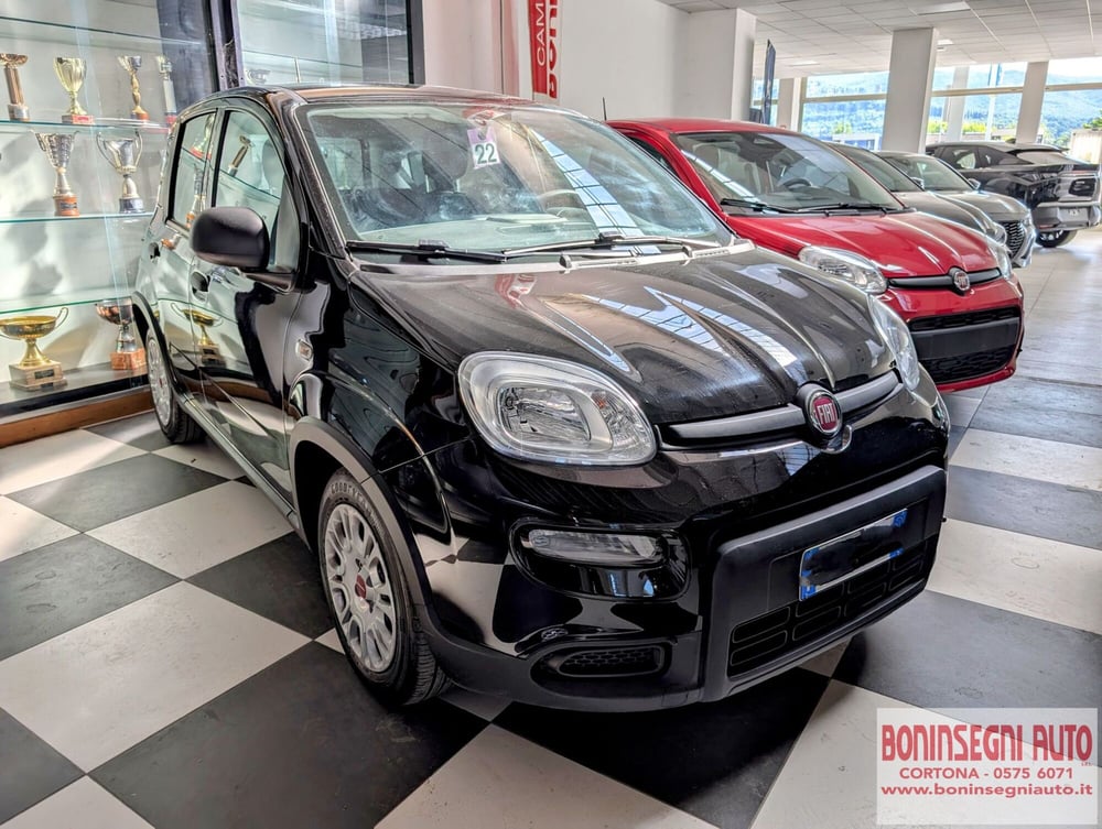 Fiat Panda usata a Arezzo